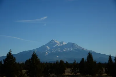 DSC_2981 (Large).JPG